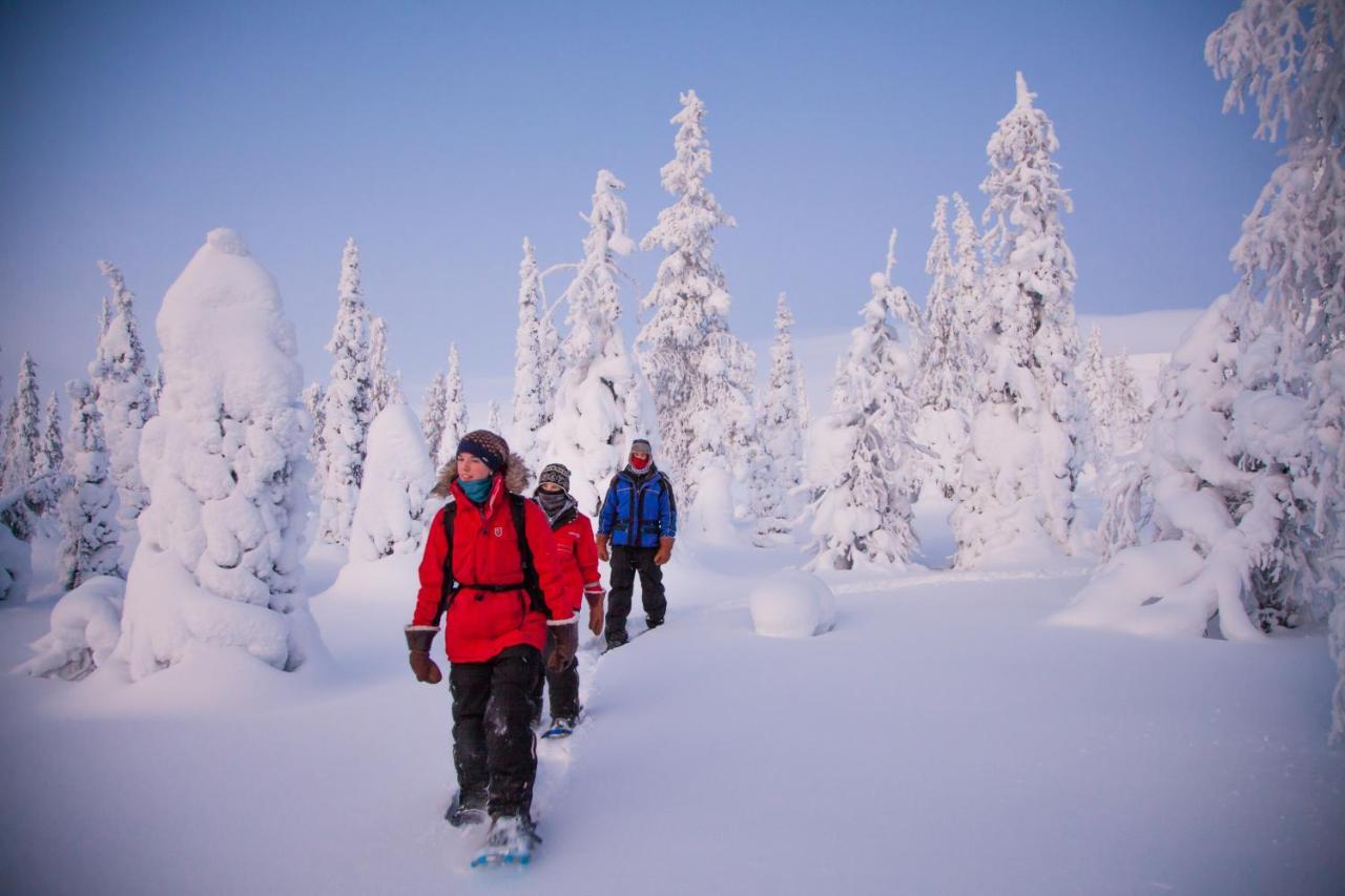 Harriniva Adventure Resort มัวนิโอ ภายนอก รูปภาพ