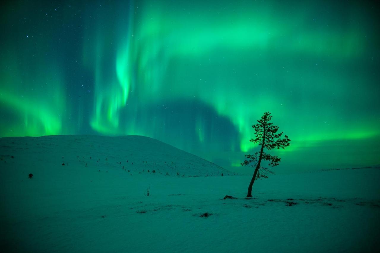 Harriniva Adventure Resort มัวนิโอ ภายนอก รูปภาพ